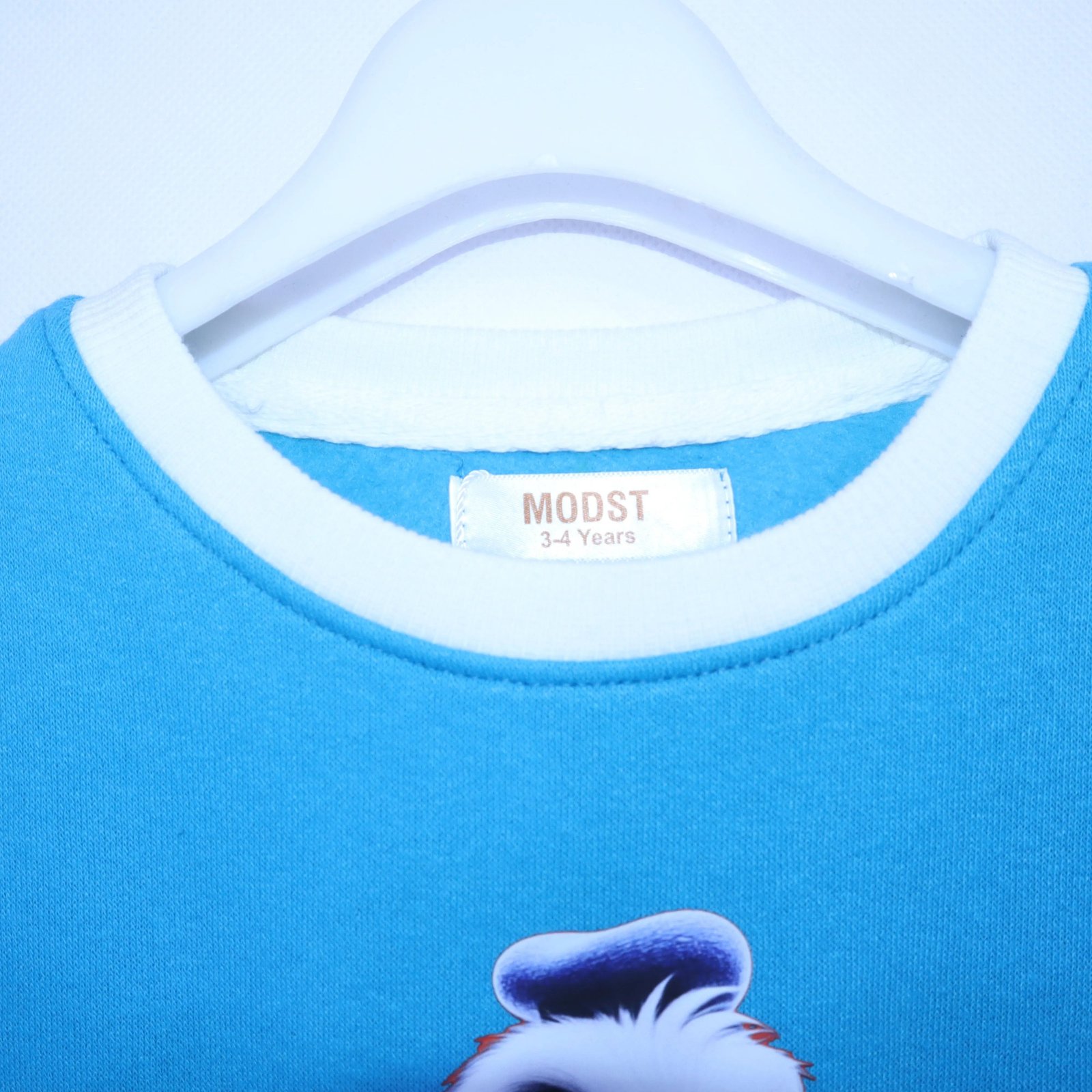 The Dapper Donald Duck Crewneck Sweatshirt MODST Online Store