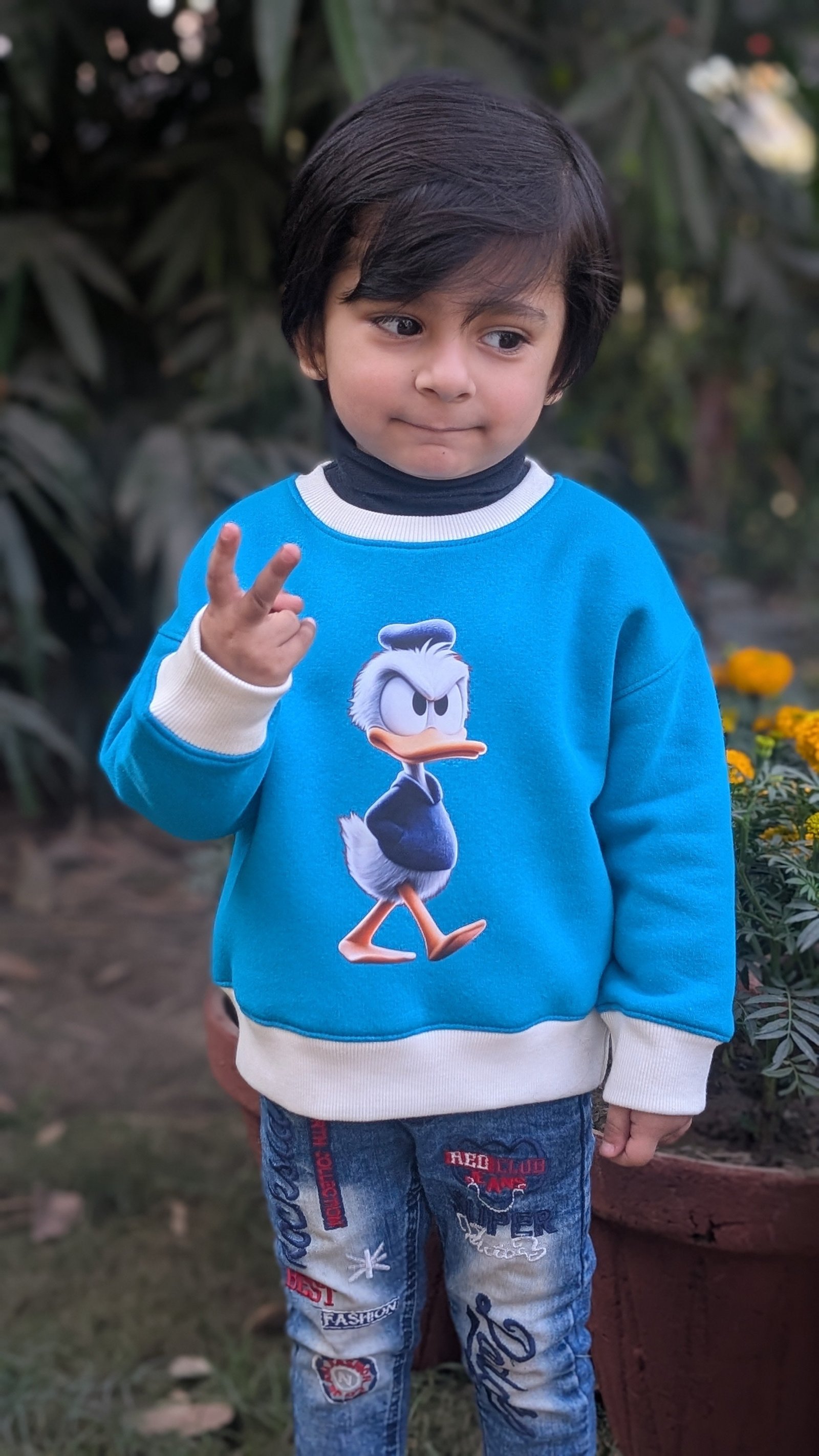 The Dapper Donald Duck Crewneck Sweatshirt MODST Online Store